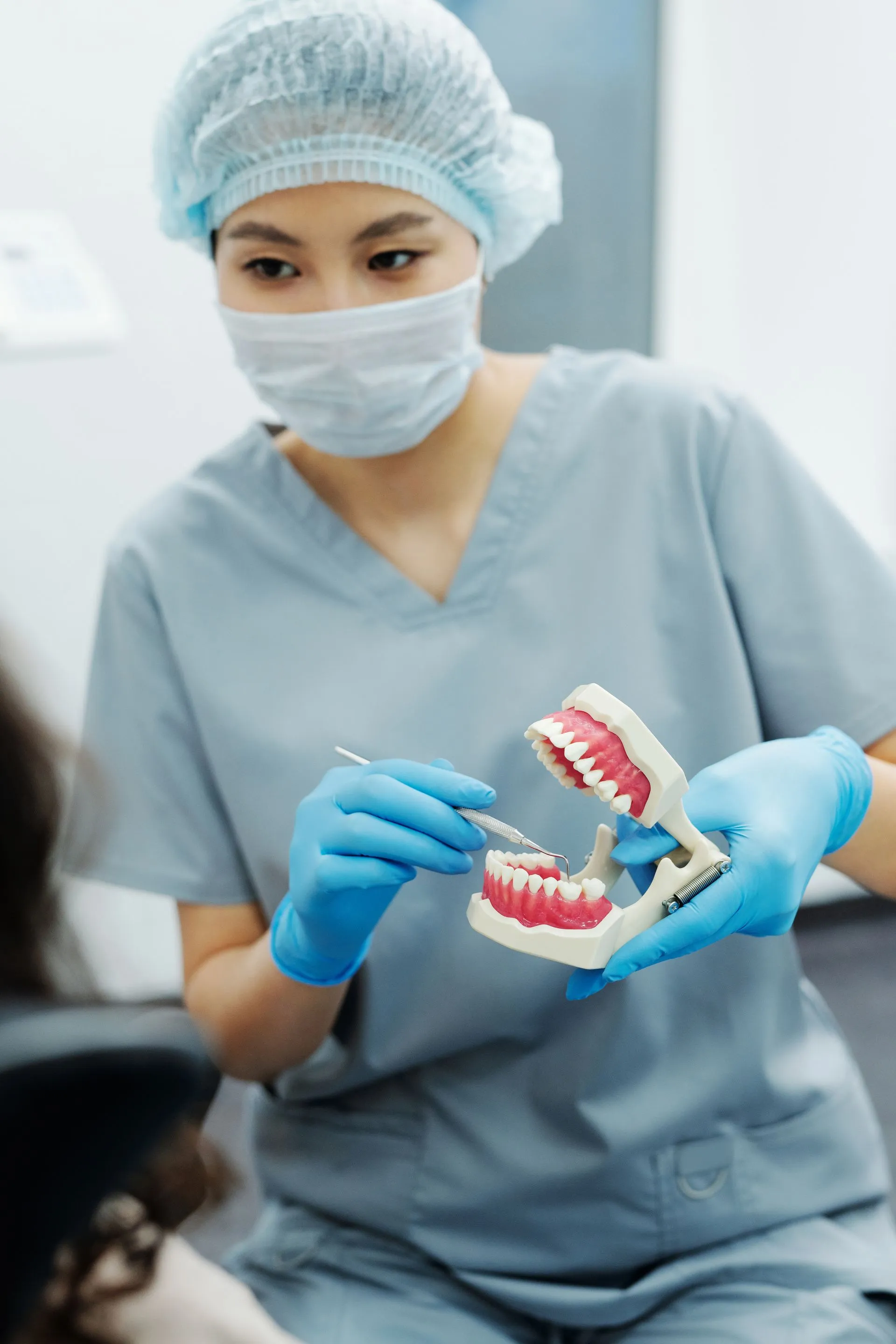 Profesional dental mostrando un modelo de dentadura en Clínica Dental Vigoar